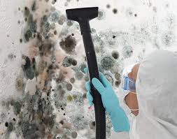 Best Mold Damage Restoration  in Hughson, CA